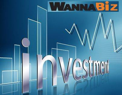 WannaBiz becomes a venture capital fund